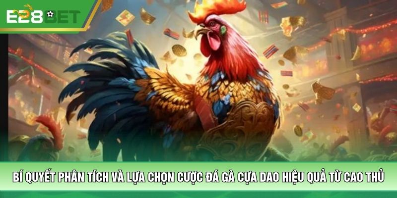 Bí quyết phân tích và lựa chọn cược đá gà cựa dao hiệu quả từ cao thủ