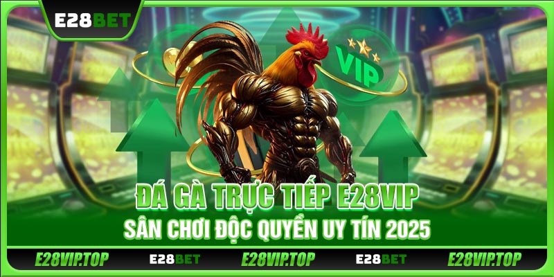 Đá Gà Trực Tiếp E28VIP - Sân Chơi Độc Quyền Uy Tín 2025