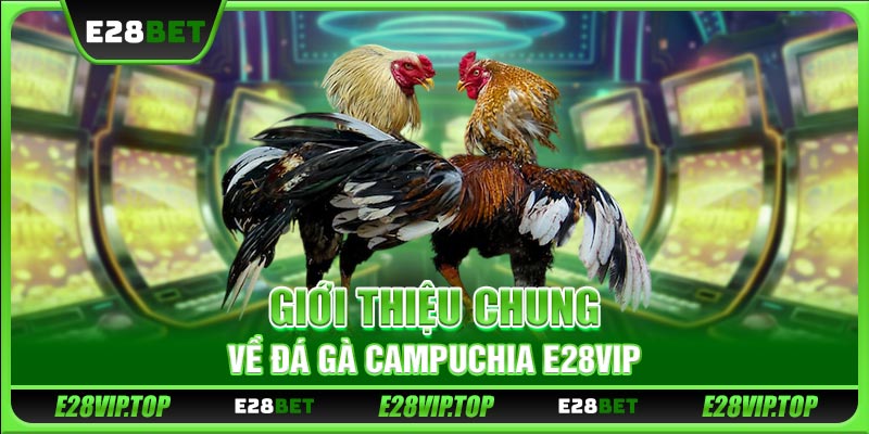 Giới thiệu chung về đá gà Campuchia E28VIP