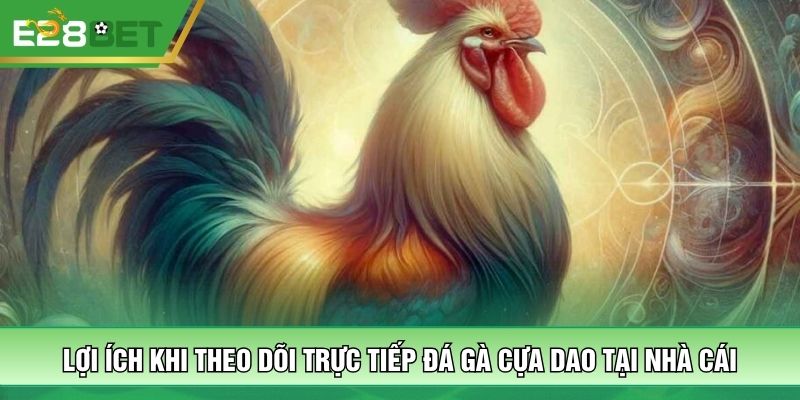 Lợi ích khi theo dõi trực tiếp đá gà cựa dao tại nhà cái