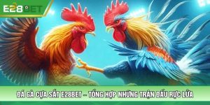Đá Gà Cựa Sắt E28BET – Tổng Hợp Những Trận Đấu Rực Lửa