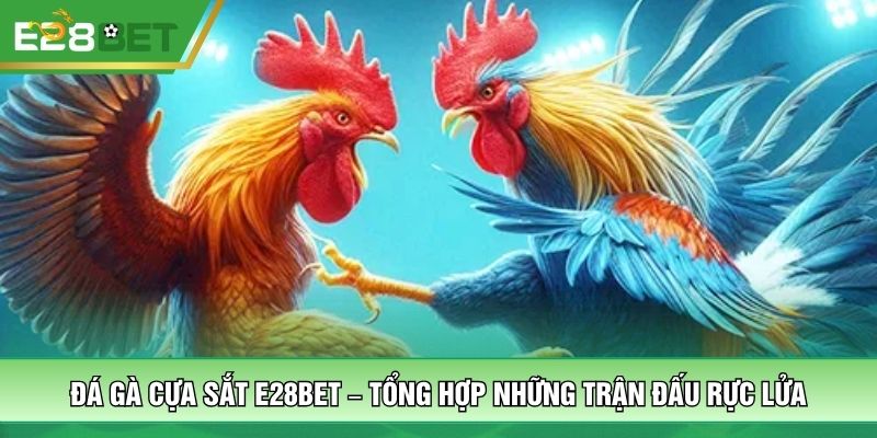 Đá Gà Cựa Sắt E28BET – Tổng Hợp Những Trận Đấu Rực Lửa