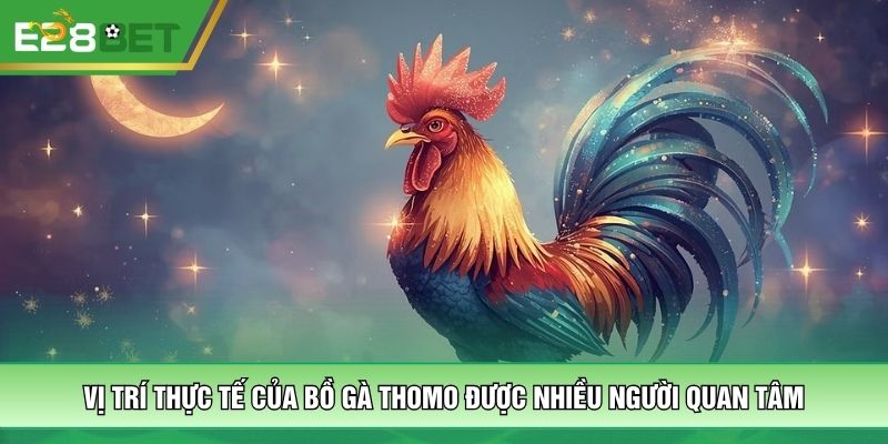 Vị trí thực tế của bồ gà Thomo được nhiều người quan tâm